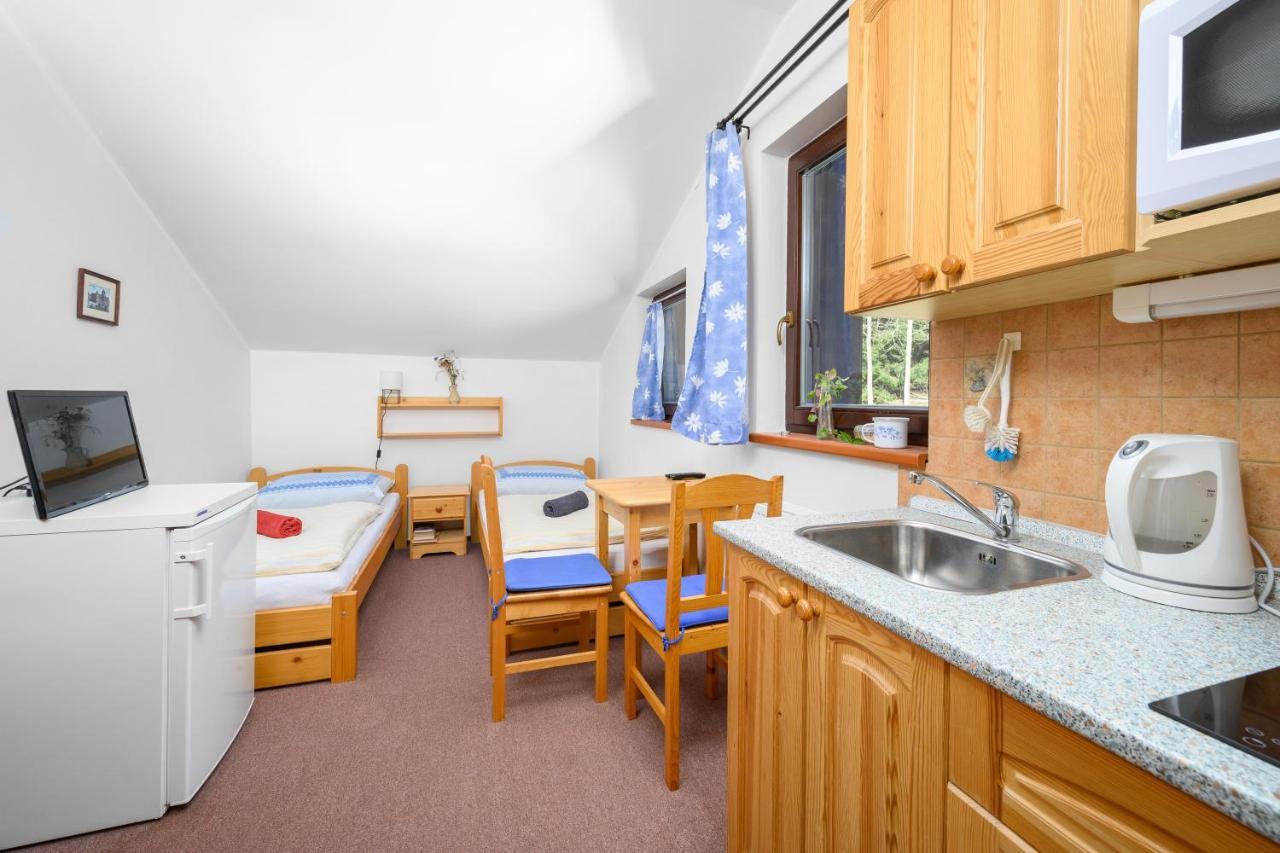 Penzion Petra, Harrachov Aparthotel Екстериор снимка