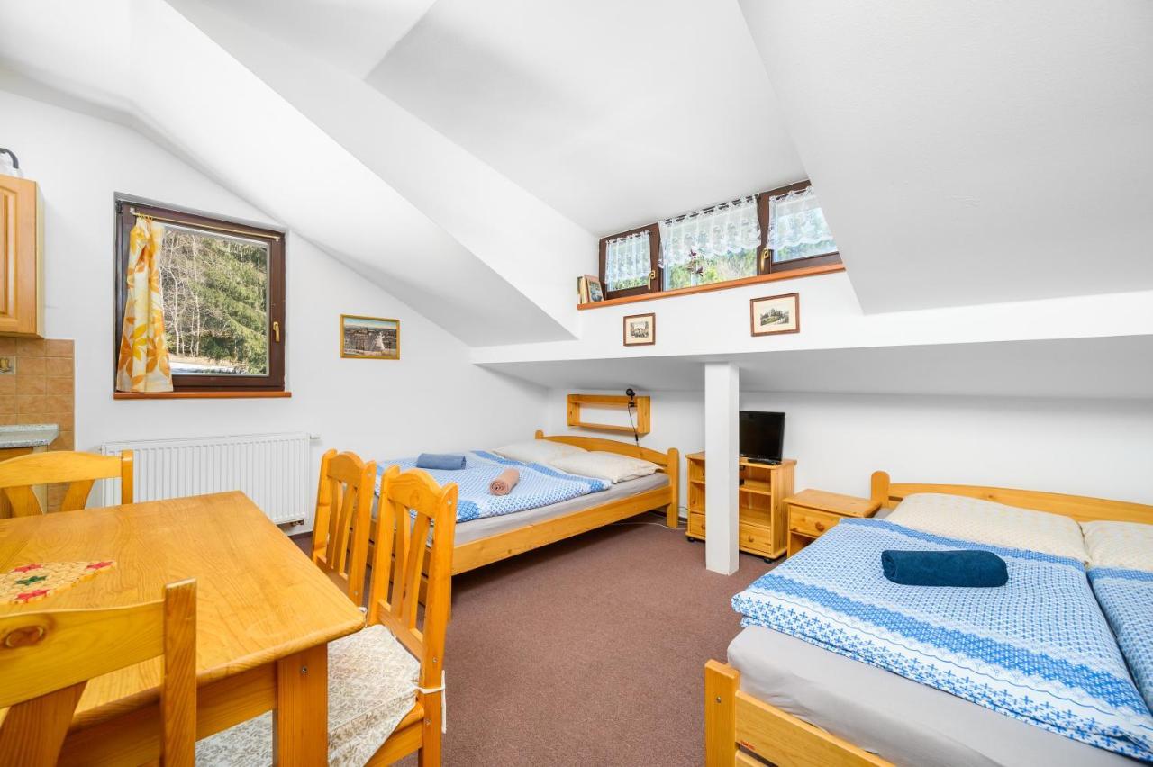 Penzion Petra, Harrachov Aparthotel Екстериор снимка