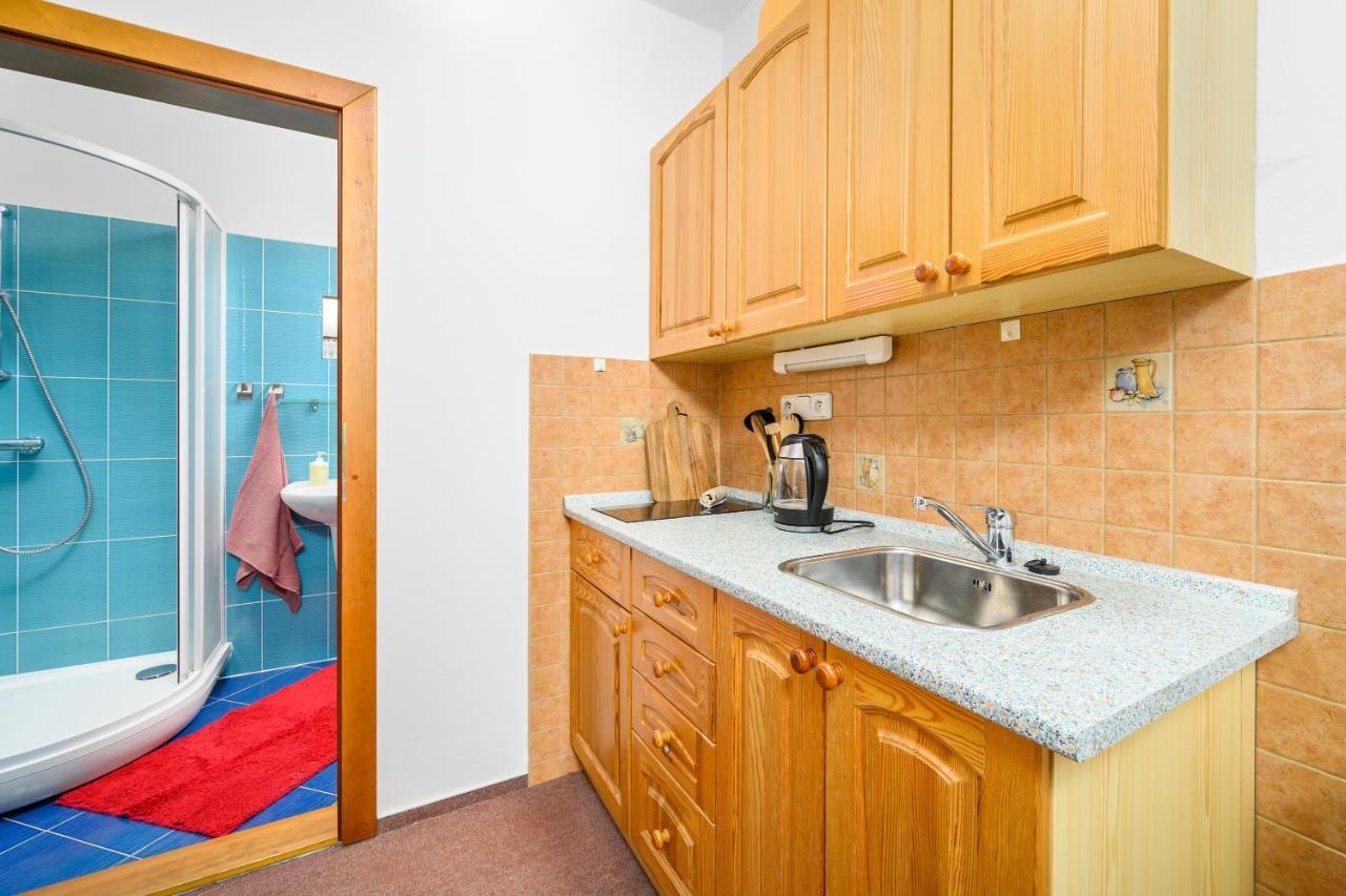 Penzion Petra, Harrachov Aparthotel Екстериор снимка